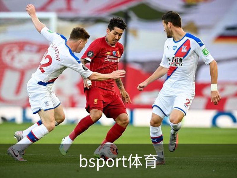bsport体育介绍